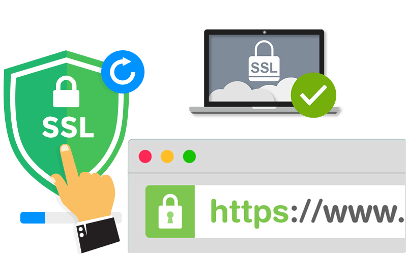 IS YOUR WEBSITE PROTECTED?